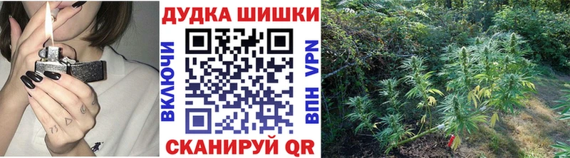 Магазины продажи наркотиков Никольское A PVP  МЕФ  МЕТАМФЕТАМИН  Конопля  Гашиш 
