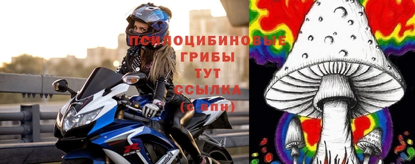 стаф Абдулино