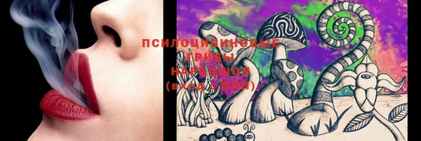 стаф Абдулино