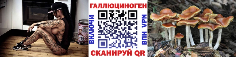 Галлюциногенные грибы Psilocybe  Никольское 